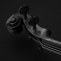 violin