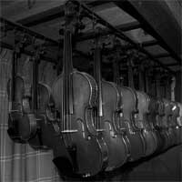 violin_image01